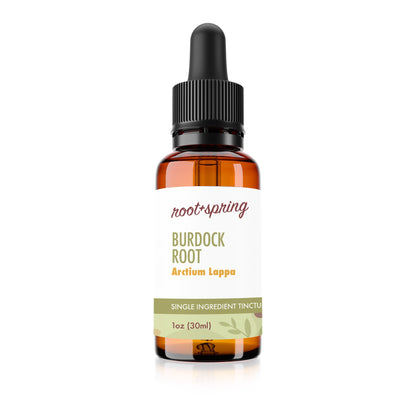 Bottle of Burdock Root  (Arctium Lappa) - Herbal Tincture by root + spring