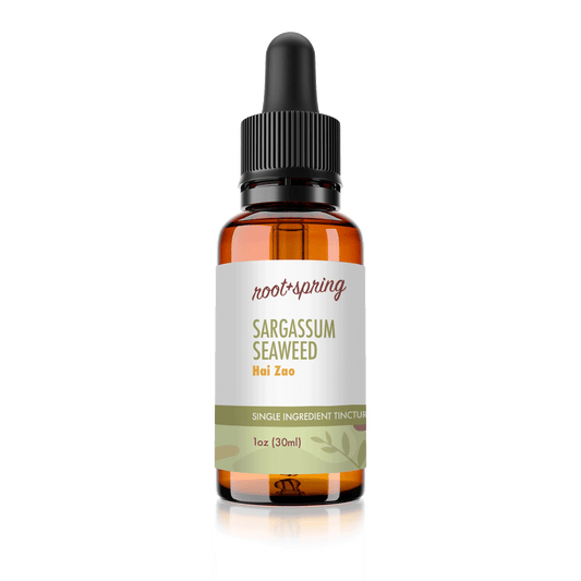 Amber eyedropper-top tincture bottle containing 1 fluid ounce (30 milliliters) of root + spring Sargassum Seaweed Hai Zao Chinese herbal tincture.