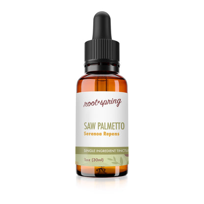 Bottle of Saw Palmetto, Serenoa Repens Herbal Tincture by rooth + spring