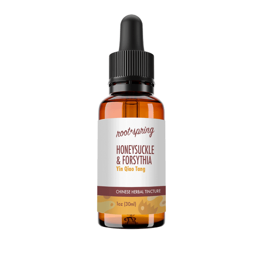 Amber eyedropper-top tincture bottle containing 1 fluid ounce (30 milliliters) of root + spring Honeysuckle and Forsythia Yin Qiao Tang Chinese herbal tincture.